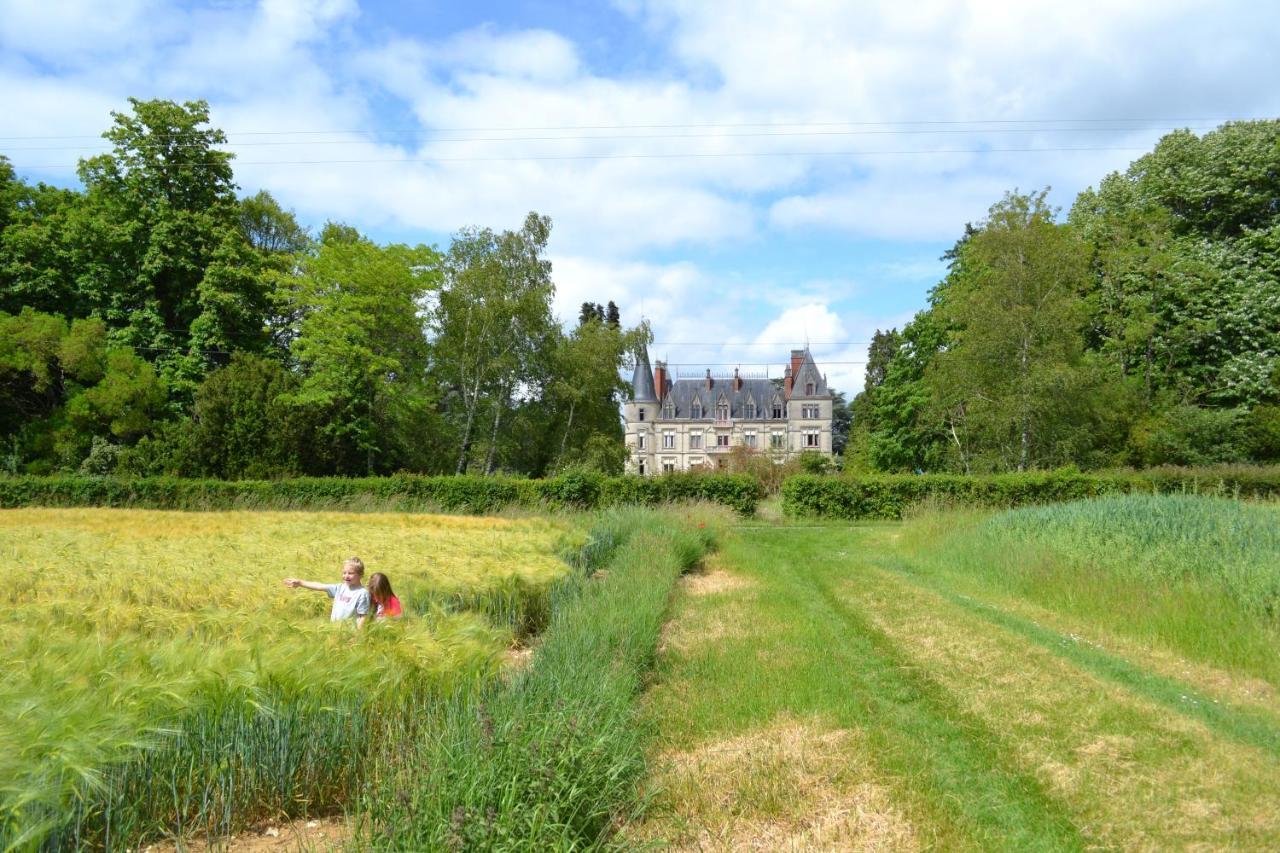 Chateau Le Boisrenault Hotel Buzancais ภายนอก รูปภาพ